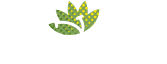 logo-white
